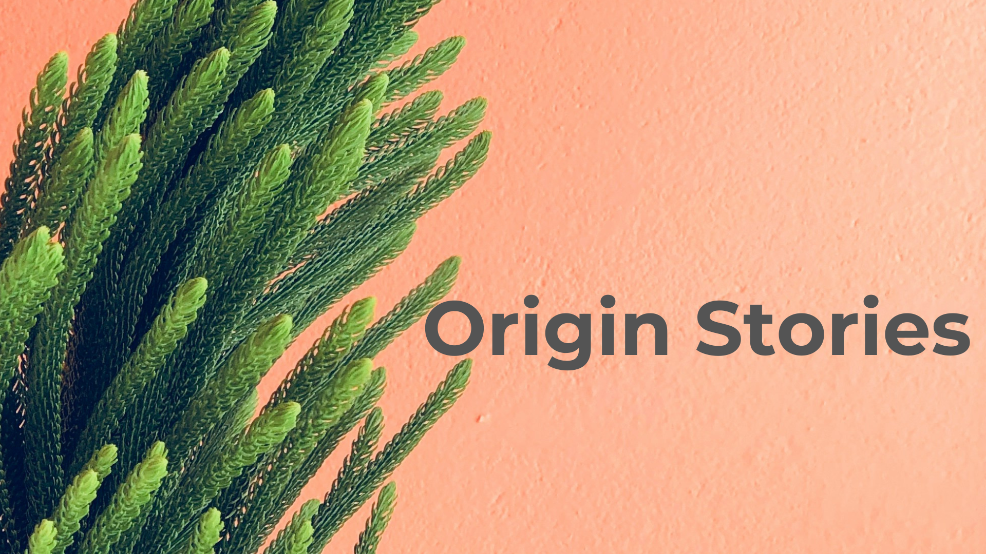 The Story of How Your Business Got Here